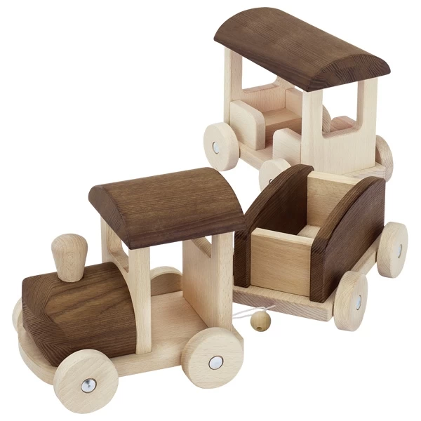 Zug Bern (goki Nature 55913)